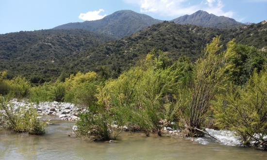 Clarillo River National Reserve